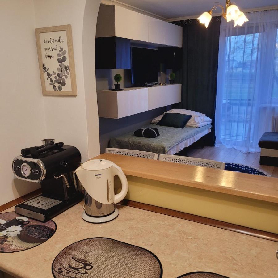 Apartament 22 Stycznia 3 プシェムィシル エクステリア 写真